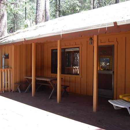 9S Pine Cabin South Wawona Exteriör bild