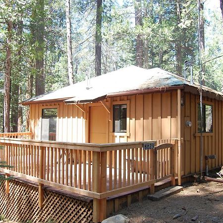 9S Pine Cabin South Wawona Exteriör bild