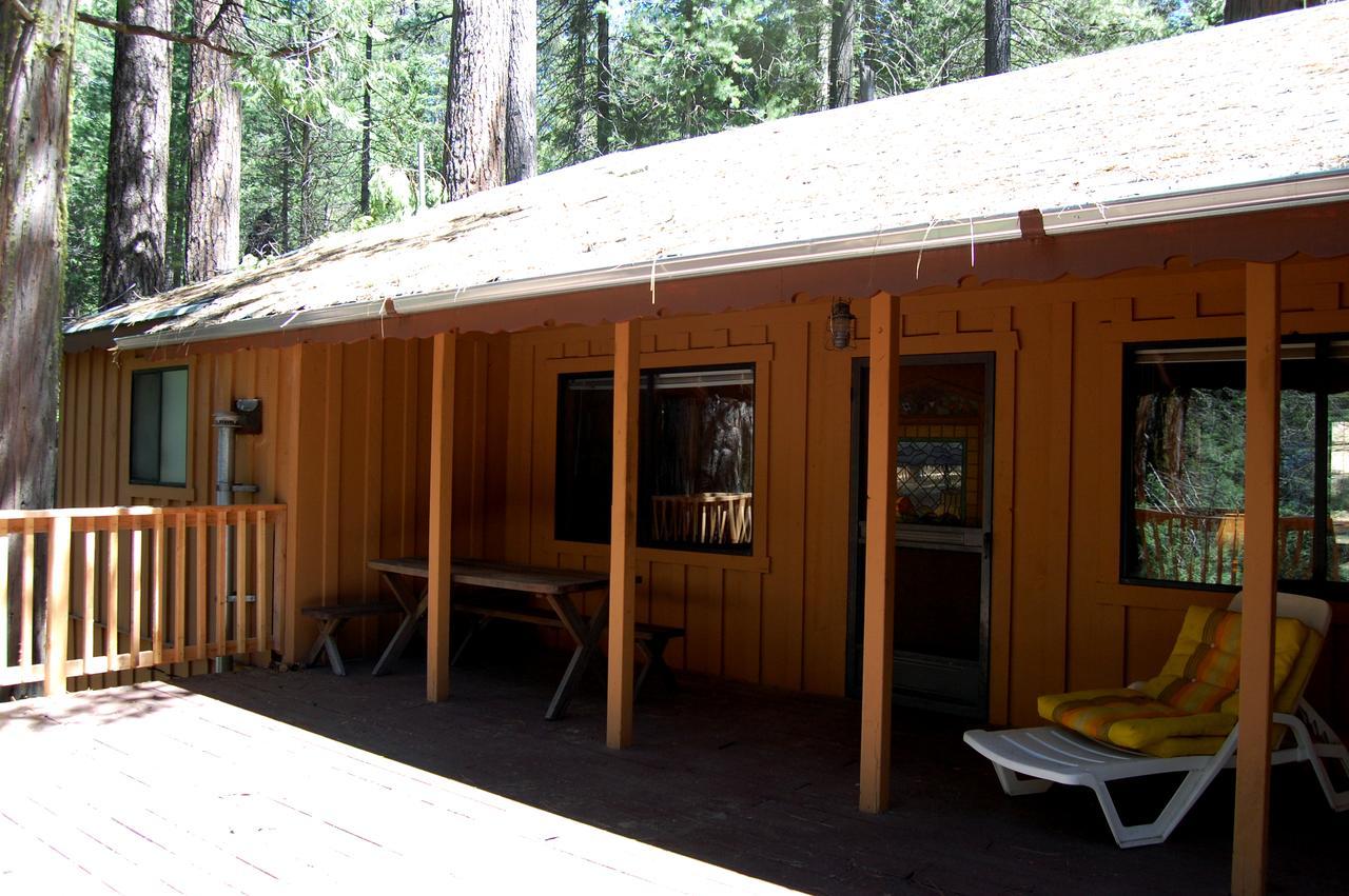 9S Pine Cabin South Wawona Exteriör bild